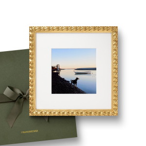 The Perfect Gift: 11x11